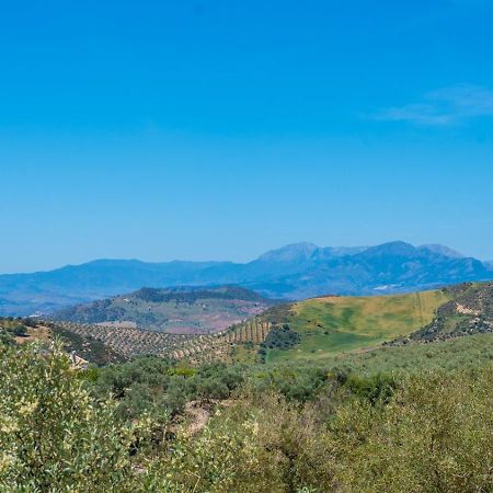 Alma Del Tejar Antequera La Higuera By Ruralidays Villa Exteriör bild